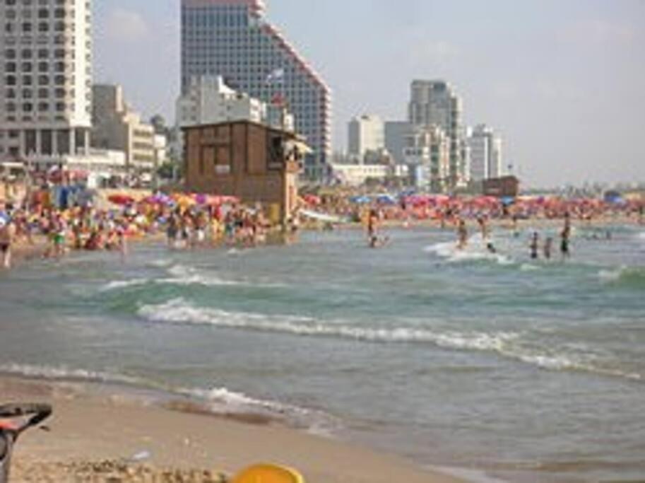 Garden -dizengoff Square, Private Garden Tel Aviv